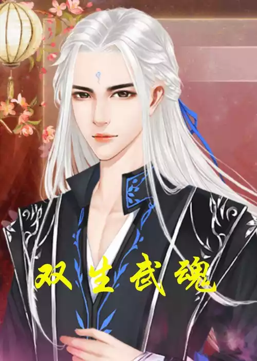 双生武魂小说
