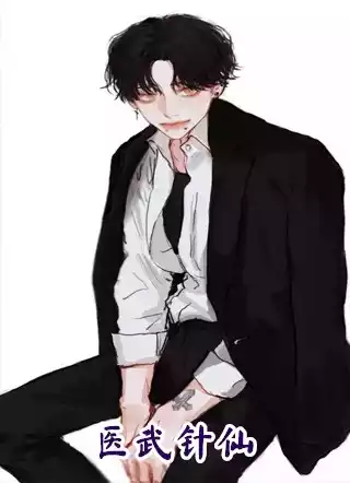 医武针仙小说