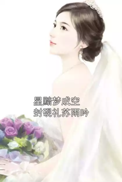 星黯梦成空封砚礼苏雨吟