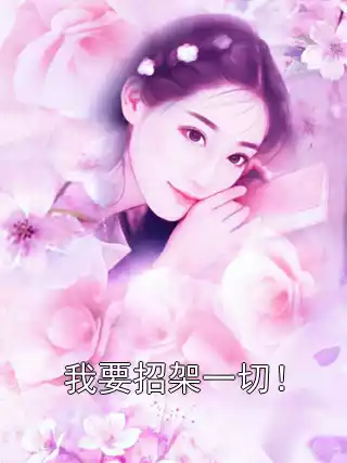 我要招架一切！小说
