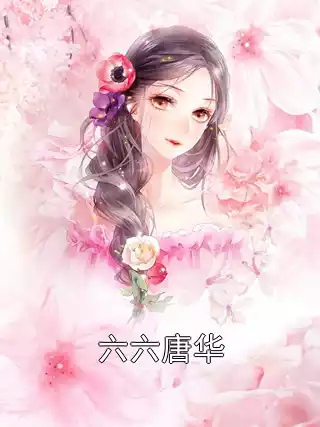 六六唐华小说