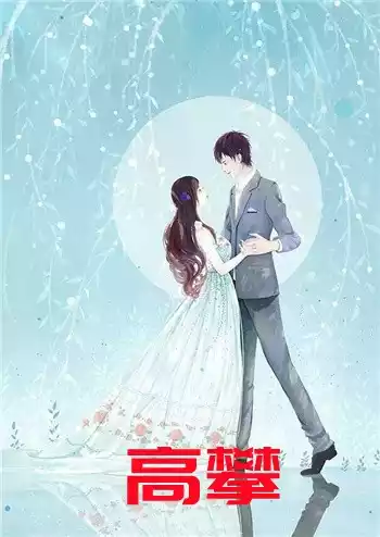 高攀小说