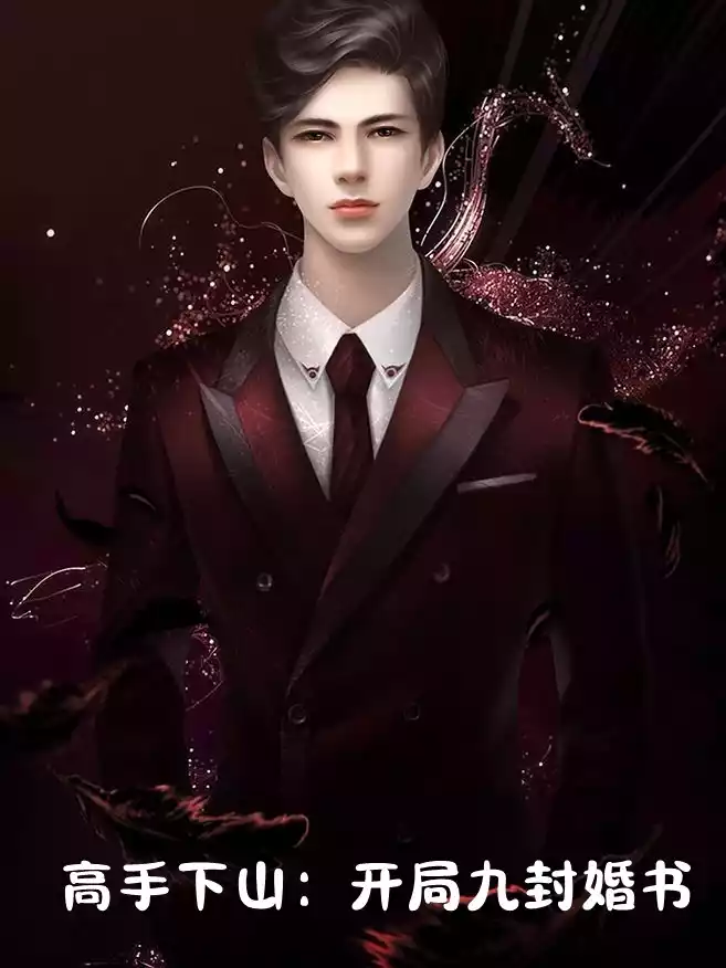 高手下山开局九封婚书小说小说