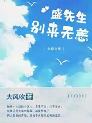 盛先生别来无恙小说