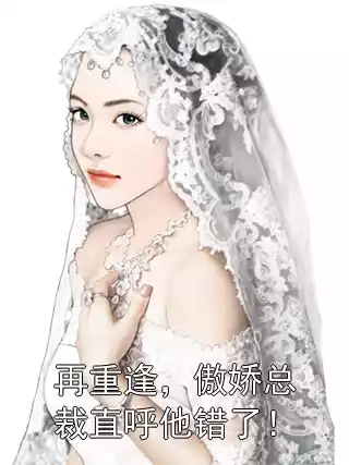 再重逢，傲娇总裁直呼他错了！小说