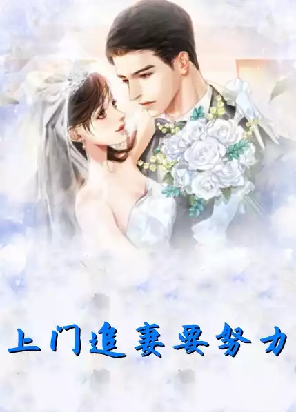 上门追妻要努力小说