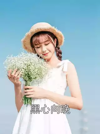 黑心向晚小说