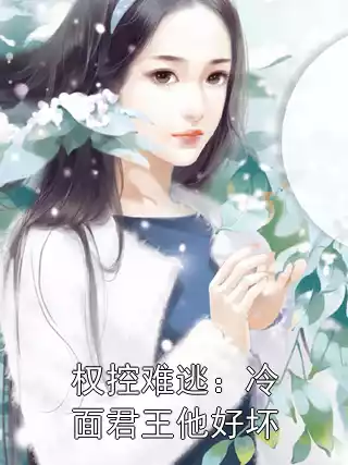 权控难逃：冷面君王他好坏小说