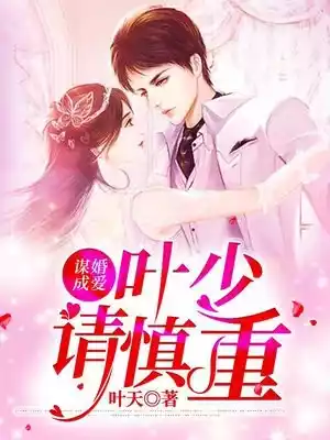 谋婚成爱叶少请慎重小说