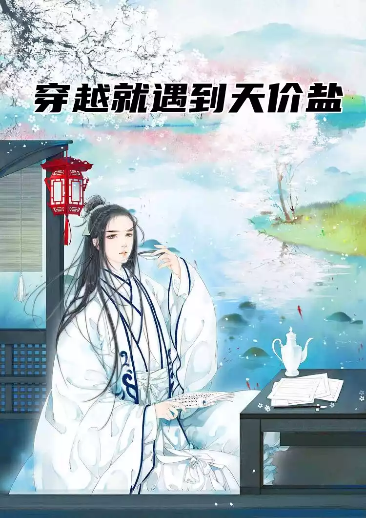 穿越就遇到天价盐小说
