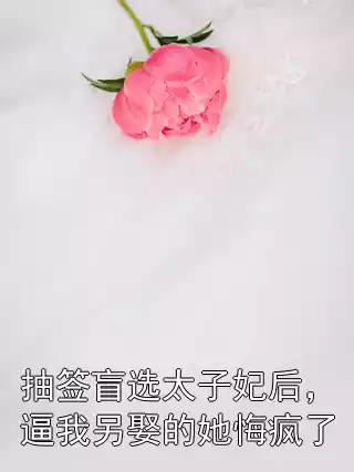 抽签盲选太子妃后，逼我另娶的她悔疯了小说