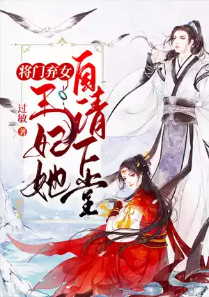 将门弃女：王妃她自请下堂小说