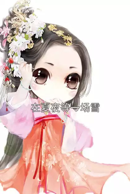 在夏夜等一场雪小说
