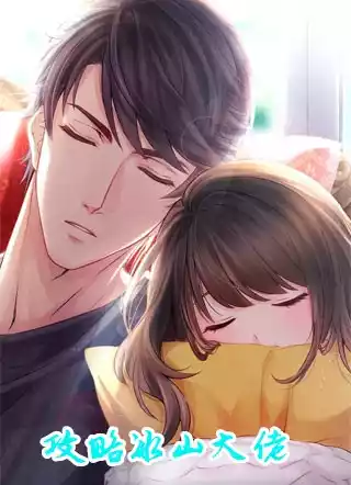 攻略冰山大佬小说