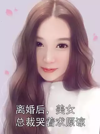 离婚后，美女总裁哭着求原谅小说