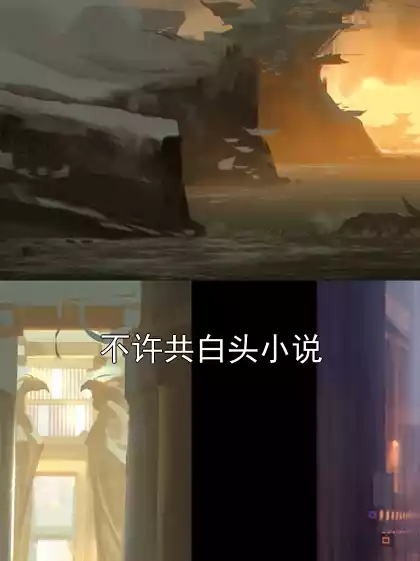 不许共白头小说小说