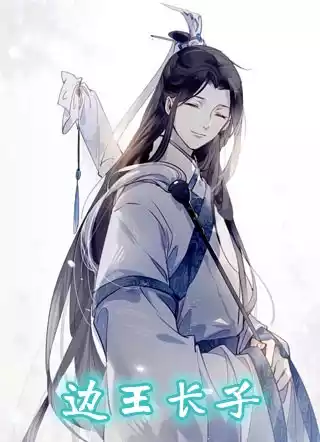 边王长子小说