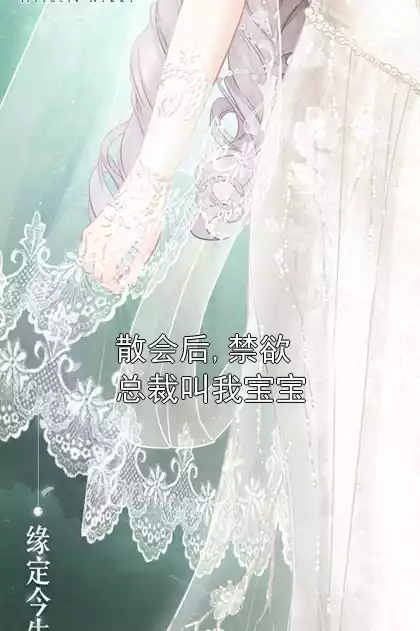 散会后,禁欲总裁叫我宝宝