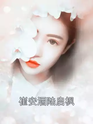 崔安酒陆启枫小说