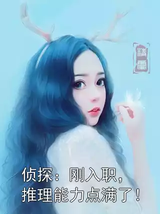 侦探：刚入职，推理能力点满了！小说