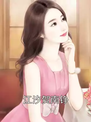 江汐贺南铮小说