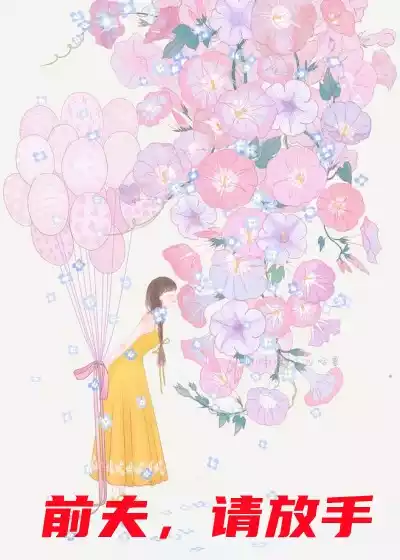 前夫请放手小说