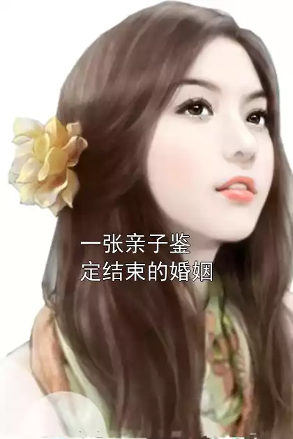 一张亲子鉴定结束的婚姻小说
