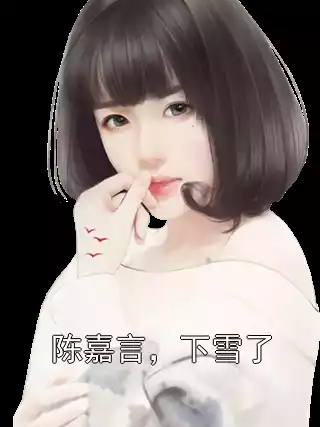 陈嘉言，下雪了小说