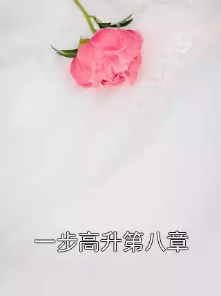 一步高升第八章小说