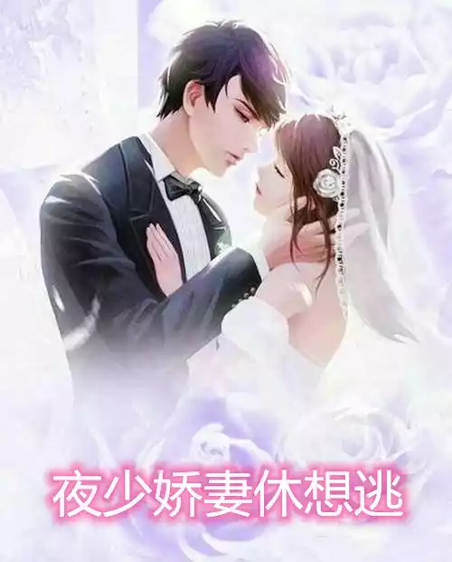 夜少娇妻休想逃小说
