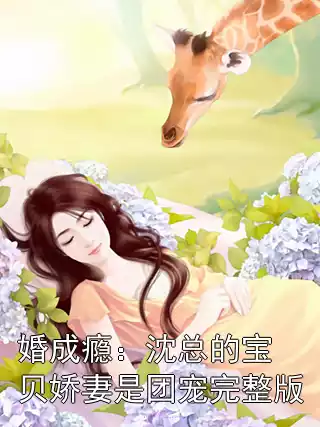 婚成瘾：沈总的宝贝娇妻是团宠完整版小说