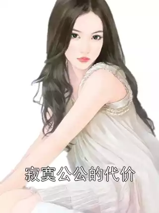 寂寞公公的代价小说