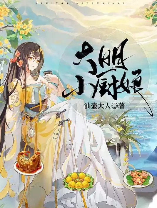 大明小厨娘小说