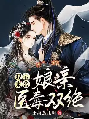 双宝来袭娘亲医毒双绝