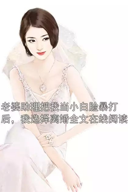 老婆助理把我当小白脸暴打后，我选择离婚全文在线阅读小说