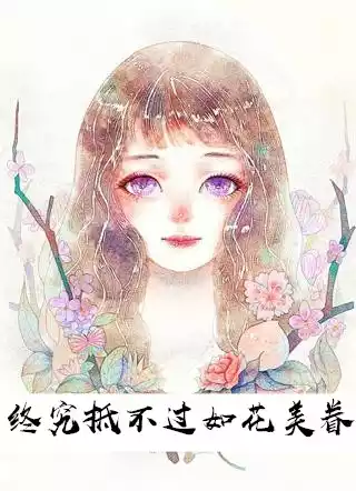 终究抵不过如花美眷小说