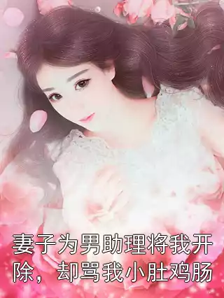 妻子为男助理将我开除，却骂我小肚鸡肠小说