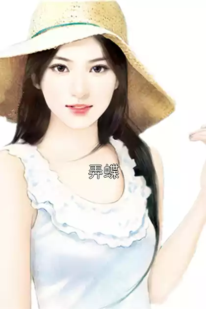 弄蝶小说