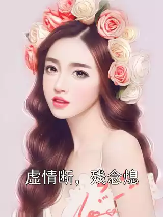 虚情断，残念熄小说