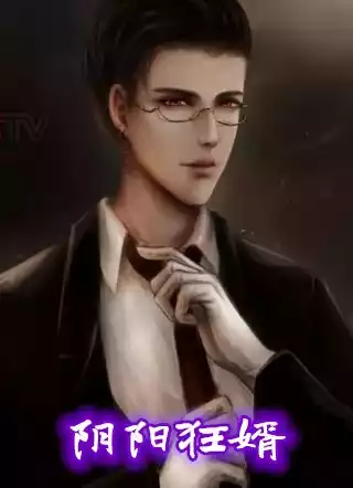 阴阳狂婿小说