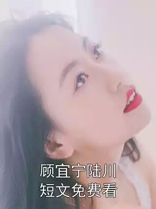 顾宜宁陆川短文免费看