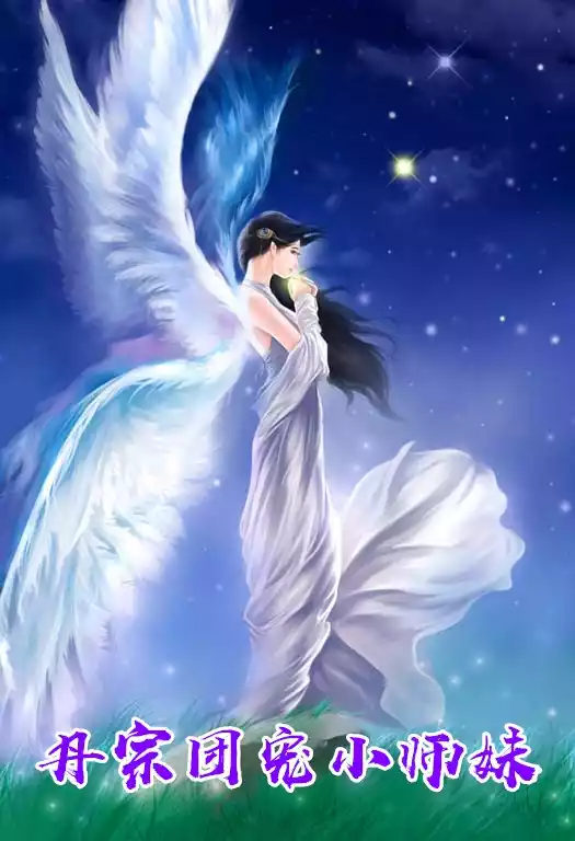 丹宗团宠小师妹小说