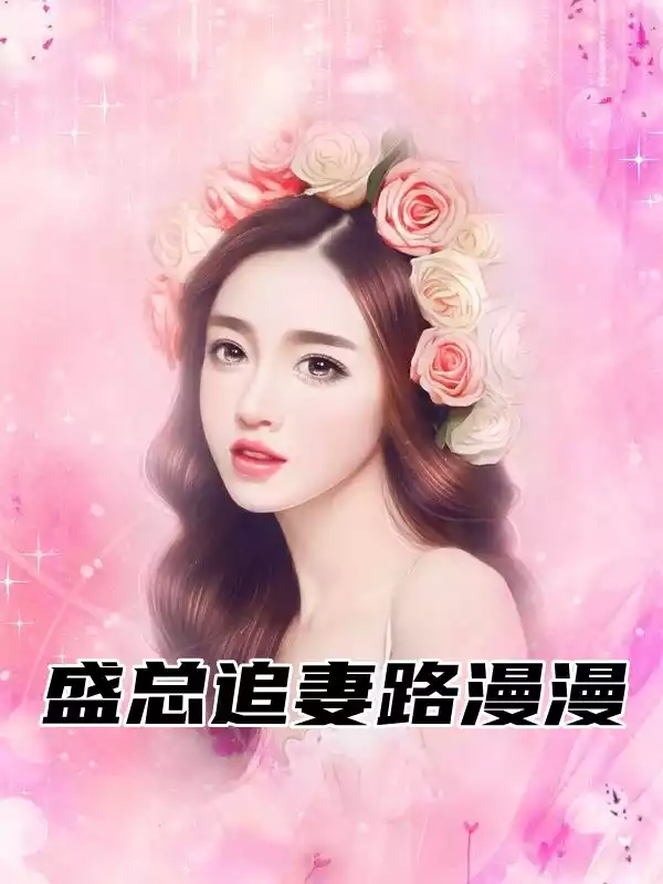 盛总追妻路漫漫小说