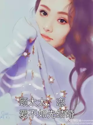 顾太太，恋爱不如先结婚小说