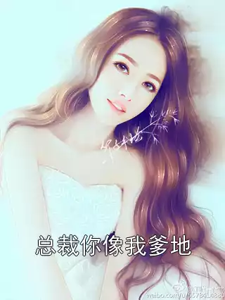 总裁你像我爹地小说