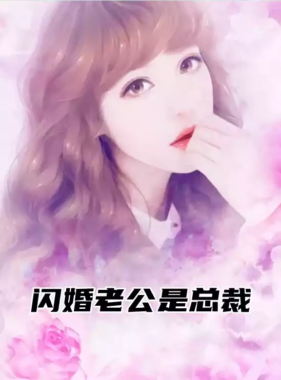 闪婚老公是总裁