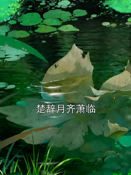 楚辞月齐萧临小说