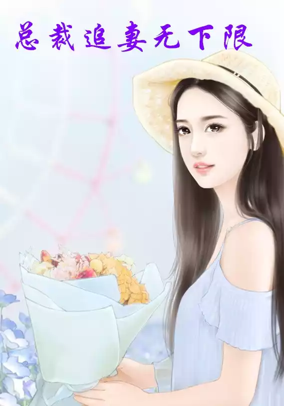 总裁追妻无下限