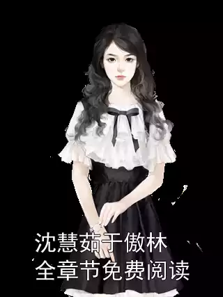 沈慧茹于傲林全章节免费阅读小说