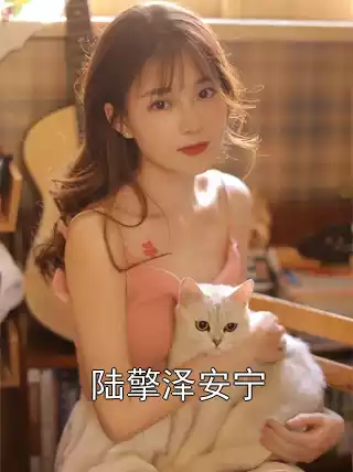 陆擎泽安宁小说